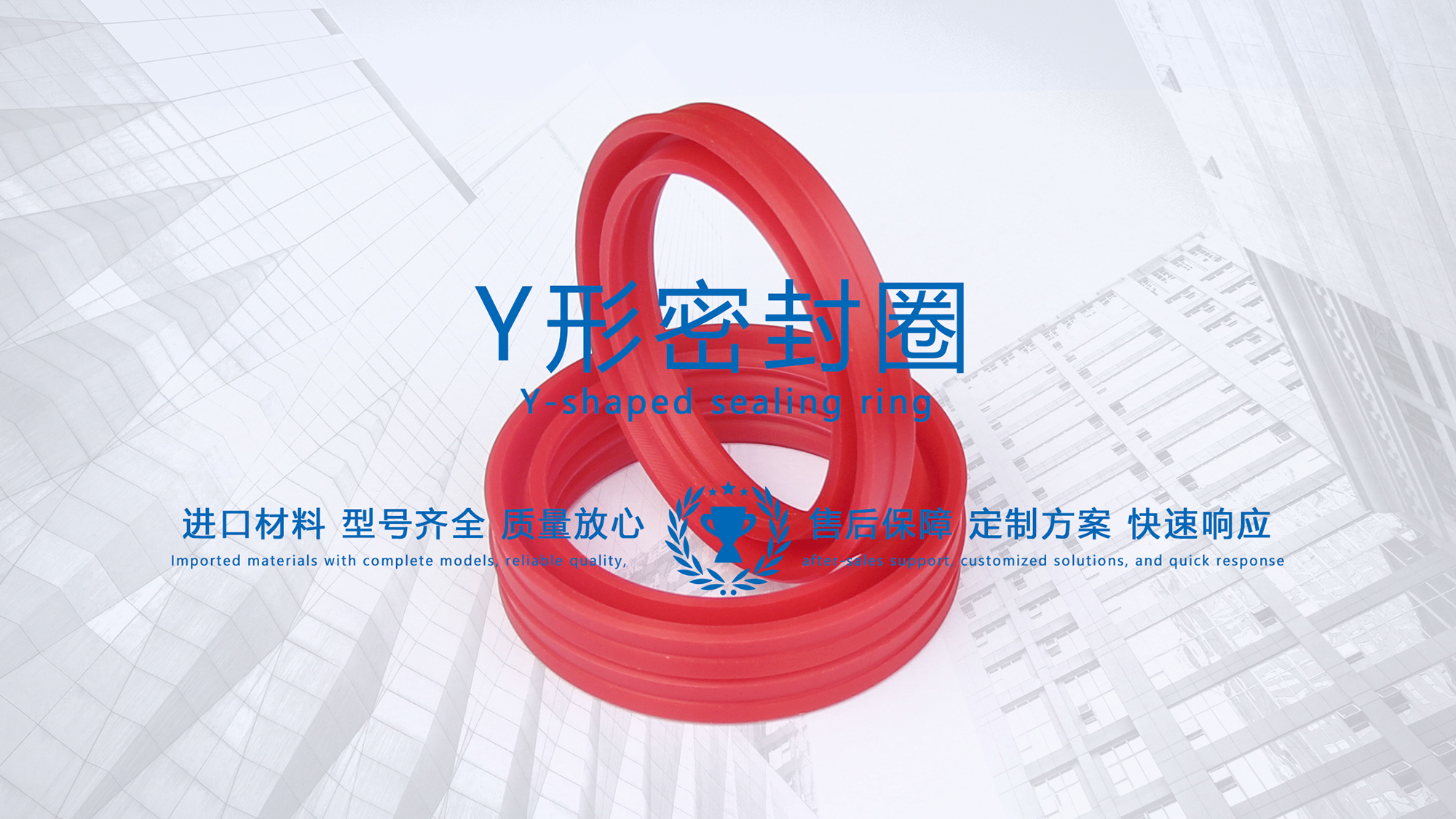 y型密封圈（又Y形密封圈，Y形圈，Y型圖或唇形密封圈，密封件油封膜片） (3)
